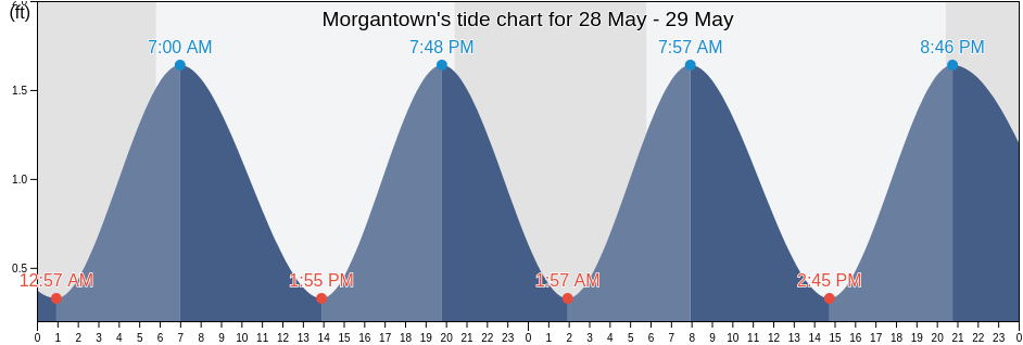 Morgantown, King George County, Virginia, United States tide chart