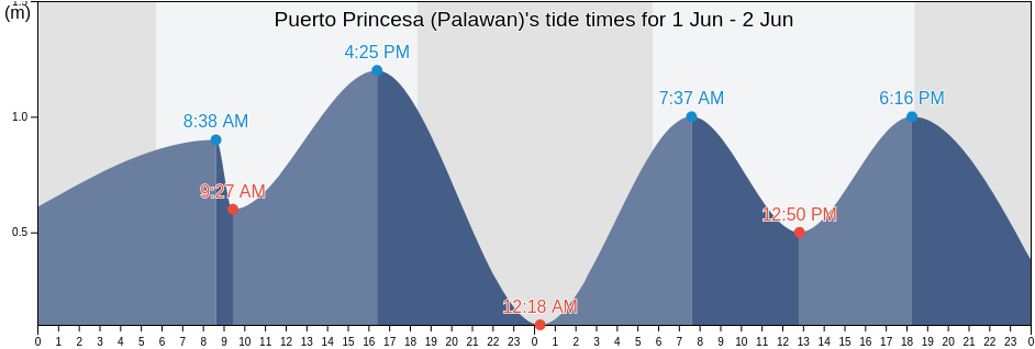 Puerto Princesa (Palawan), Province of Palawan, Mimaropa, Philippines tide chart