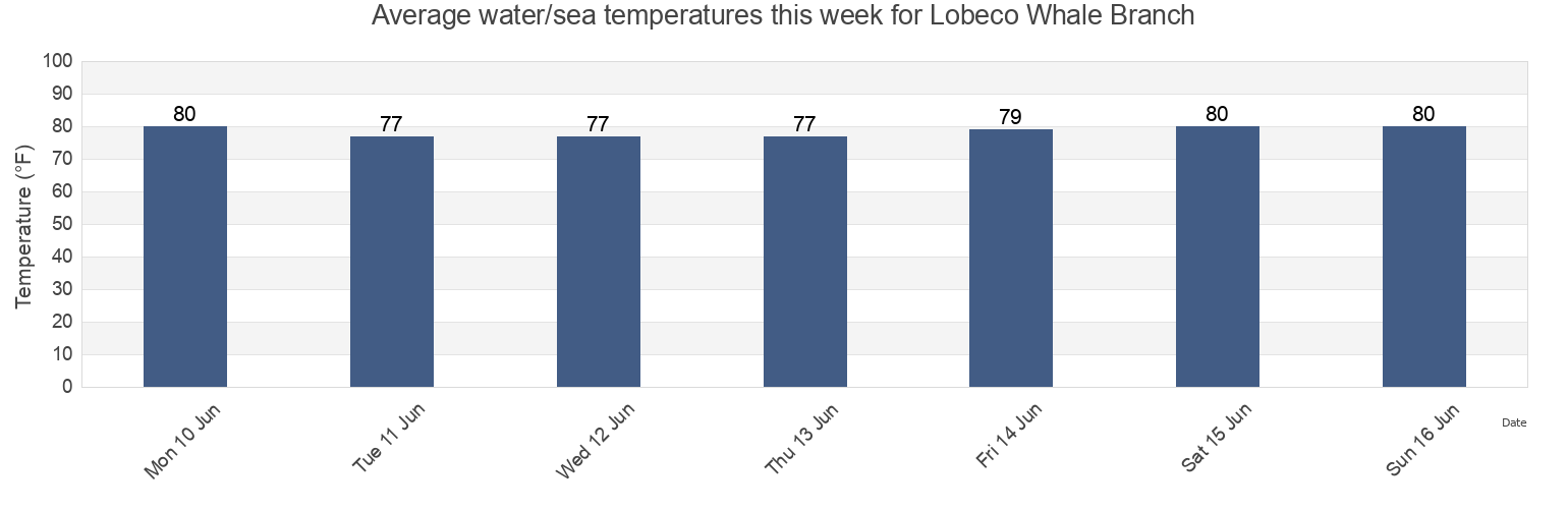 Water temperature in Lobeco Whale Branch, Colleton County, South Carolina, United States today and this week