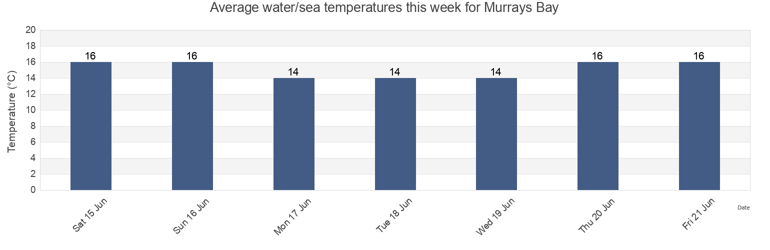 Water temperature in Murrays Bay, Auckland, Auckland, New Zealand today and this week