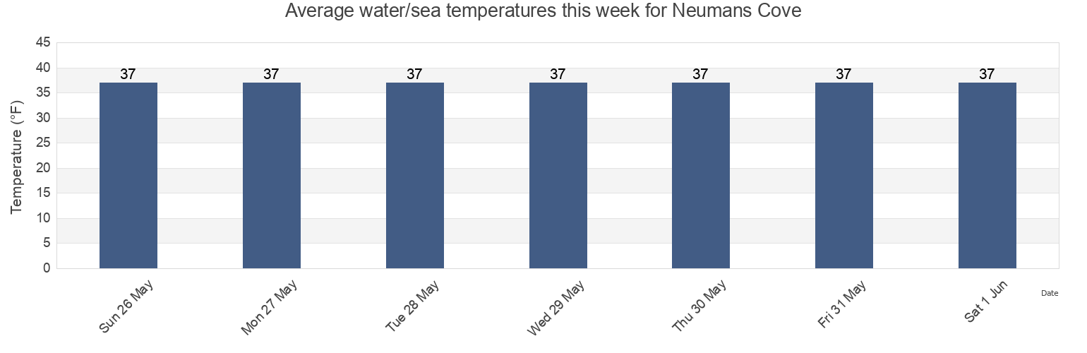 Water temperature in Neumans Cove, Aleutians East Borough, Alaska, United States today and this week