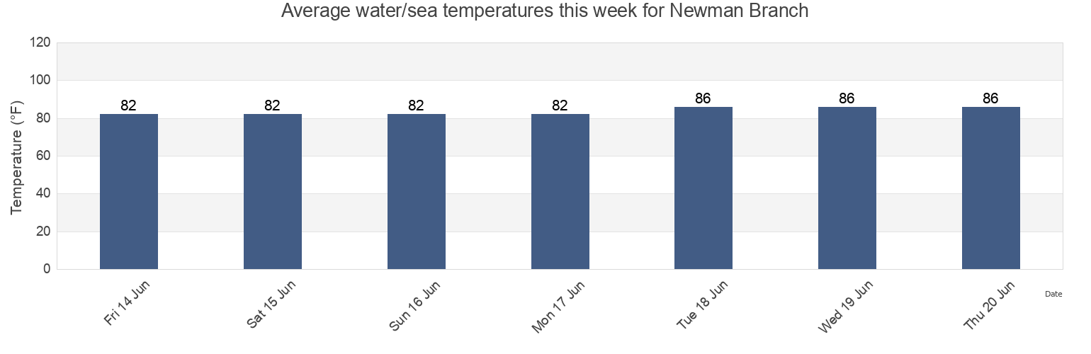 Water temperature in Newman Branch, Hillsborough County, Florida, United States today and this week