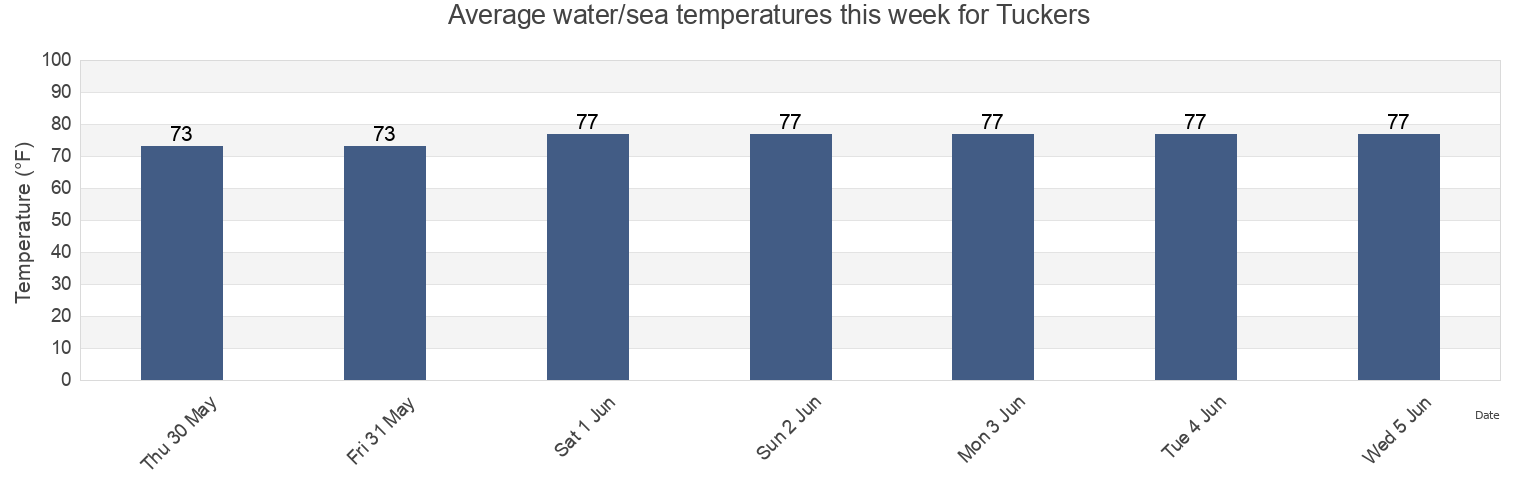 Water temperature in Tuckers, Dare County, North Carolina, United States today and this week